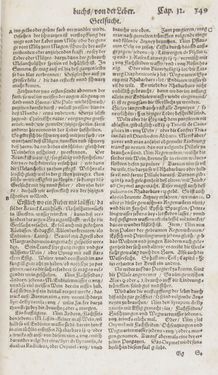 Image of the Page - 349 - in Artzney Buch