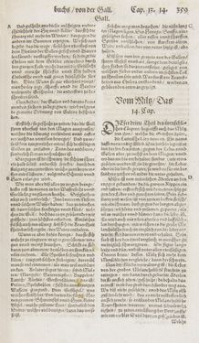 Image of the Page - 359 - in Artzney Buch