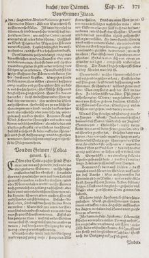 Bild der Seite - 371 - in Artzney Buch