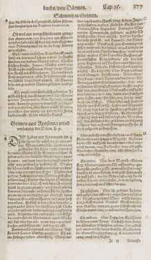 Image of the Page - 377 - in Artzney Buch