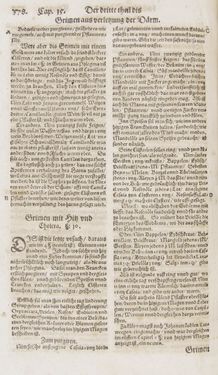 Image of the Page - 378 - in Artzney Buch