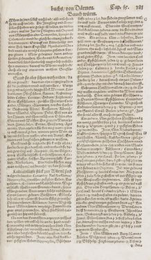 Image of the Page - 381 - in Artzney Buch