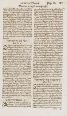 Image of the Page - 387 - in Artzney Buch