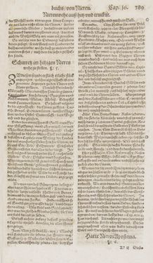 Image of the Page - 389 - in Artzney Buch