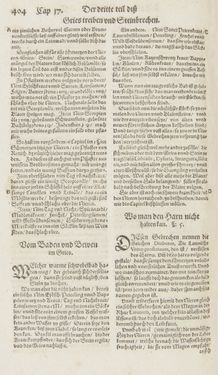 Bild der Seite - 404 - in Artzney Buch