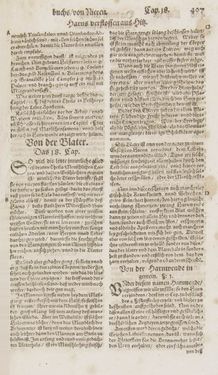 Bild der Seite - 407 - in Artzney Buch