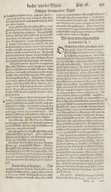 Bild der Seite - 413 - in Artzney Buch