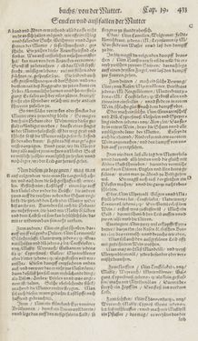 Image of the Page - 431 - in Artzney Buch