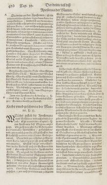 Image of the Page - 436 - in Artzney Buch
