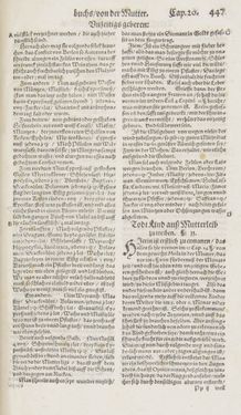 Image of the Page - 447 - in Artzney Buch