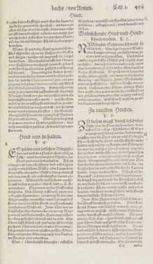 Image of the Page - 456 - in Artzney Buch
