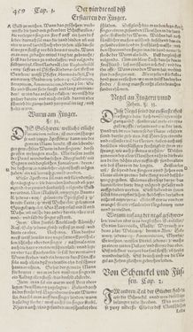 Image of the Page - 459 - in Artzney Buch