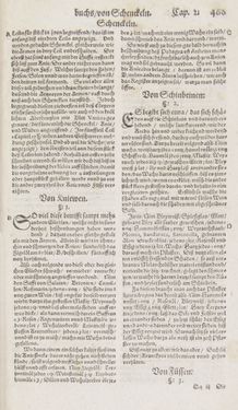 Bild der Seite - 460 - in Artzney Buch