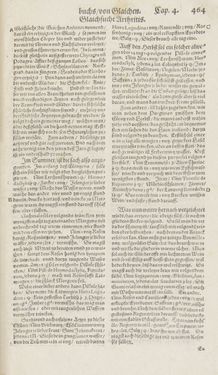 Bild der Seite - 464 - in Artzney Buch