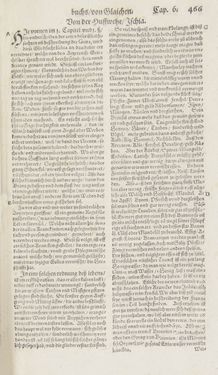 Bild der Seite - 466 - in Artzney Buch