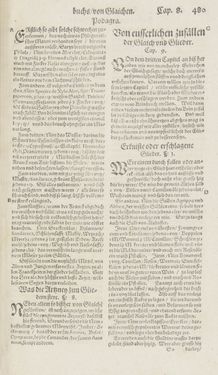 Image of the Page - 480 - in Artzney Buch