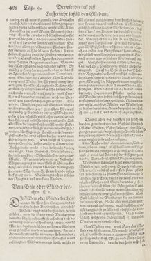 Image of the Page - 481 - in Artzney Buch
