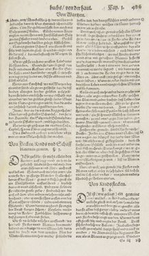 Image of the Page - 486 - in Artzney Buch
