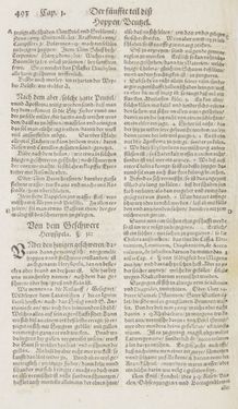 Image of the Page - 493 - in Artzney Buch