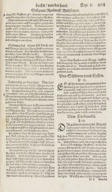 Image of the Page - 494 - in Artzney Buch
