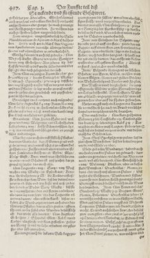 Bild der Seite - 497 - in Artzney Buch