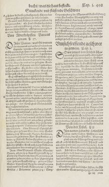 Bild der Seite - 498 - in Artzney Buch