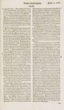 Bild der Seite - 502 - in Artzney Buch