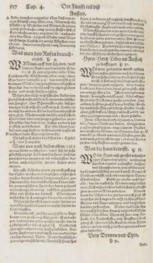 Bild der Seite - 517 - in Artzney Buch