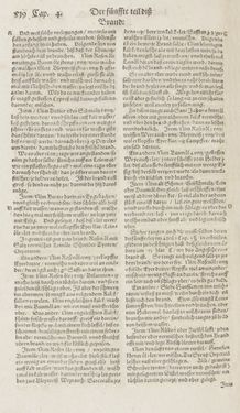 Bild der Seite - 519 - in Artzney Buch