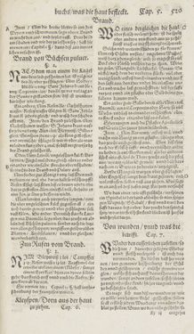 Bild der Seite - 520 - in Artzney Buch