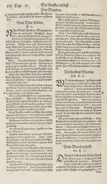 Bild der Seite - 521 - in Artzney Buch