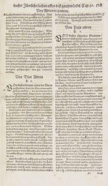 Bild der Seite - 528 - in Artzney Buch