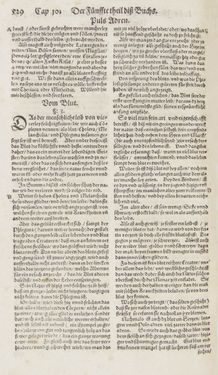 Bild der Seite - 529 - in Artzney Buch