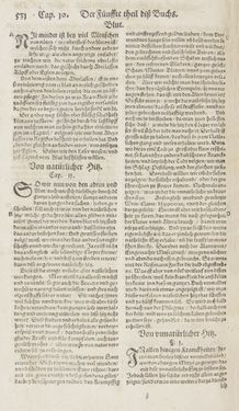 Bild der Seite - 531 - in Artzney Buch