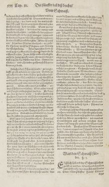 Bild der Seite - 533 - in Artzney Buch