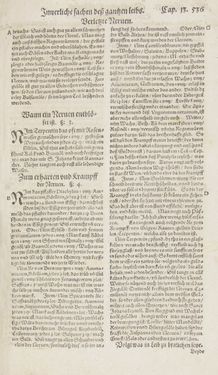 Image of the Page - 536 - in Artzney Buch