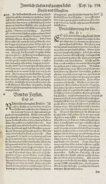 Image of the Page - 538 - in Artzney Buch