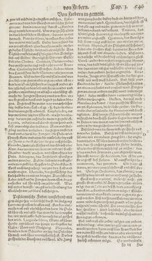 Bild der Seite - 546 - in Artzney Buch