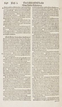 Bild der Seite - 547 - in Artzney Buch