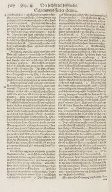 Image of the Page - 567 - in Artzney Buch