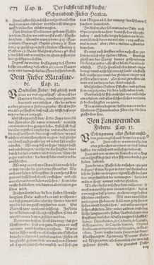 Image of the Page - 571 - in Artzney Buch