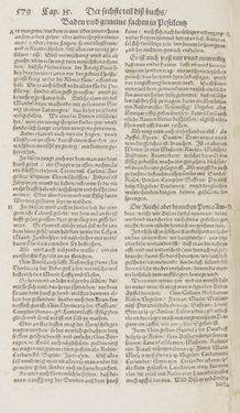 Image of the Page - 579 - in Artzney Buch