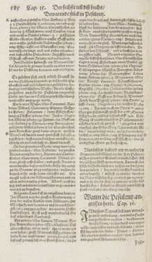 Image of the Page - 585 - in Artzney Buch