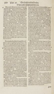 Image of the Page - 587 - in Artzney Buch