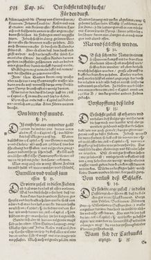Image of the Page - 591 - in Artzney Buch