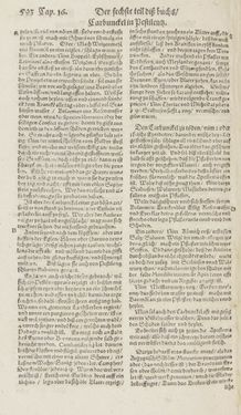 Image of the Page - 593 - in Artzney Buch