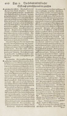 Image of the Page - 607 - in Artzney Buch