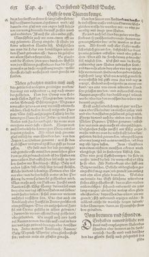Image of the Page - 613 - in Artzney Buch