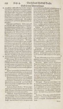 Image of the Page - 615 - in Artzney Buch
