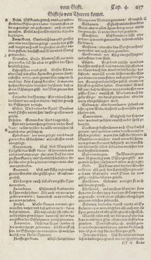 Image of the Page - 616 - in Artzney Buch